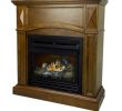 Free Standing Ventless Gas Fireplace Awesome 20 000 Btu 36 In Pact Convertible Ventless Propane Gas Fireplace In Heritage Oak