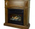 Free Standing Ventless Gas Fireplace Awesome 20 000 Btu 36 In Pact Convertible Ventless Propane Gas Fireplace In Heritage Oak