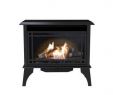Free Standing Ventless Gas Fireplace Elegant Freestanding Gas Stoves Freestanding Stoves the Home Depot
