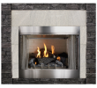 Free Standing Ventless Gas Fireplace New Empire Carol Rose Coastal Premium 42 Vent Free Outdoor Gas Firebox Op42fb2mf