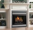 Freestanding Direct Vent Gas Fireplace Beautiful Fireplaces toronto Fireplace Repair & Maintenance