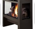 Freestanding Direct Vent Gas Fireplace Beautiful Lopi Cypress Studio In 2019