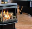 Freestanding Direct Vent Gas Fireplace Inspirational Fireplaces toronto Fireplace Repair & Maintenance