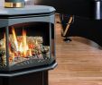 Freestanding Direct Vent Gas Fireplace Inspirational Fireplaces toronto Fireplace Repair & Maintenance