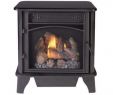 Freestanding Natural Gas Fireplace Fresh Freestanding Gas Stoves Freestanding Stoves the Home Depot