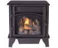 Freestanding Ventless Fireplace Awesome Freestanding Gas Stoves Freestanding Stoves the Home Depot