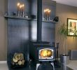 Freestanding Wood Burning Fireplace Elegant Pin On Fireplaces