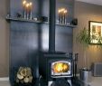 Freestanding Wood Burning Fireplace Elegant Pin On Fireplaces