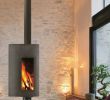 Freestanding Wood Burning Fireplace Elegant Wood Burning Free Standing Fireplace Stofocus by Focus