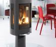 Freestanding Wood Fireplace New Interesting Free Standing Gas Fireplace
