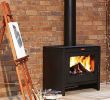 Freestanding Wood Fireplace Unique 7 Best Renovation Fireplaces Images On Pinterest