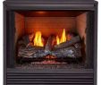 Fumeless Fireplace Luxury Gas Fireplace Inserts Fireplace Inserts the Home Depot