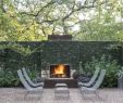 Garden Fireplace Elegant Freestanding Fireplace Google Search