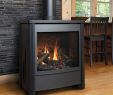 Gas and Wood Fireplace Awesome Kingsman Fdv451 Free Standing Direct Vent Gas Stove