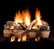 Gas Fireplace Accessories Awesome We Want the Most Realistic Logs Possible these Look Great