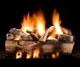 Gas Fireplace Accessories Awesome We Want the Most Realistic Logs Possible these Look Great