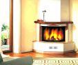 Gas Fireplace Corner Unit Fresh Gas Fireplace Unit Fireplace Design Ideas