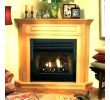 Gas Fireplace Corner Unit Unique Gas Fireplace Unit Fireplace Design Ideas