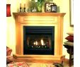 Gas Fireplace Corner Unit Unique Gas Fireplace Unit Fireplace Design Ideas