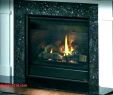 Gas Fireplace Dealers Near Me Lovely Mobile Home Wood Burning Fireplace – Pagefusion