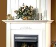 Gas Fireplace Dealers Near Me Luxury Fireplaces Near Me