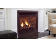 Gas Fireplace Direct Vent Beautiful Majestic Manchester Convertible Direct Vent Fireplace 47 Inch