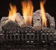 Gas Fireplace Flu Elegant Classic Oak 30 Inch Vent Free Gas Log Set