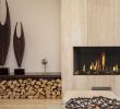 Gas Fireplace Flue Elegant Gas Insert Element 4 Modore 95 Balance Flue Gas Insert