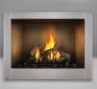 Gas Fireplace Glass Doors Elegant Napoleon Riverside 42 Clean Face Outdoor Gas Fireplace