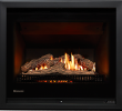 Gas Fireplace Heat Output Best Of Rinnai Ember Series