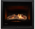 Gas Fireplace Heat Output Best Of Rinnai Ember Series