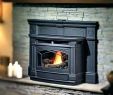 Gas Fireplace Insert Ct Awesome Lopi Wood Stove Prices – Saathifo