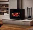 Gas Fireplace Insert Lowes Luxury Wood Stove Hearth Pads – Sanjuancoffee