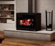 Gas Fireplace Insert Lowes Luxury Wood Stove Hearth Pads – Sanjuancoffee