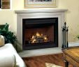 Gas Fireplace Insert Lowes New Vented Gas Heaters Lowes