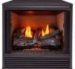 Gas Fireplace Insert Prices Elegant Gas Fireplace Inserts Fireplace Inserts the Home Depot