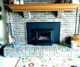 Gas Fireplace Insert with Blower Unique Wood Fireplace Inserts with Blowers – Detoxhojefo