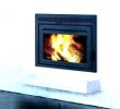 Gas Fireplace Inserts Cost New Wood Stove Inserts Price – Hotellleras10