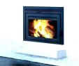 Gas Fireplace Inserts Near Me Awesome Wood Stove Inserts Price – Hotellleras10