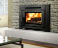 Gas Fireplace Inserts Prices Awesome the Passion Of Fireplaces and Stoves