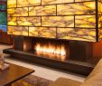 Gas Fireplace Inserts Prices Beautiful Linear Burner System Indoor Spark Modern Fires