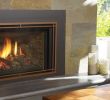 Gas Fireplace Inserts with Blower Fresh Gas Fireplace Inserts Regency Fireplace Products