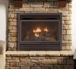 Gas Fireplace Log Fresh Best Cheap Chiminea