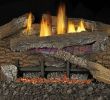 Gas Fireplace Log Placement Fresh Superior Vent Free Gas Logs