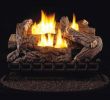 Gas Fireplace Log Placement New 27 In Vent Free Propane Gas Log Set with Millivolt Control