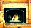 Gas Fireplace Log Repair Best Of Fireplace Starter Logs – Essays