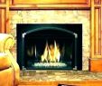 Gas Fireplace Log Repair Best Of Fireplace Starter Logs – Essays