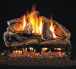 Gas Fireplace Log Sets Fresh Peterson Real Fyre 24" Rugged Split Oak Ansi Vented Gas Log