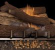 Gas Fireplace Log Sets New southern fort Outdoor Logs