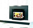 Gas Fireplace Logs Home Depot Best Of Home Depot Fireplace Accessories